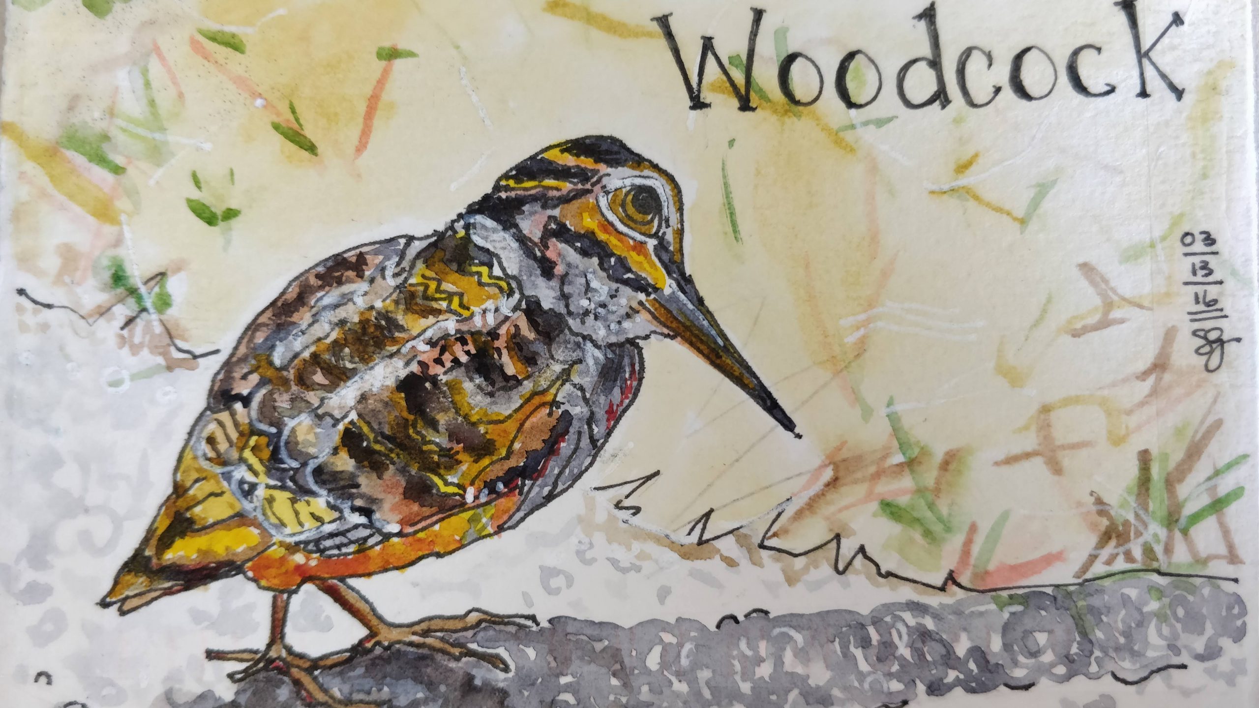 What Does the Woodcock Say?